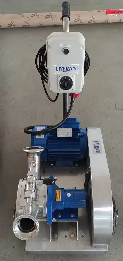 [V-V017] LIVERANI Marior Pumpe / Bj. 2022 - Vorführgerät